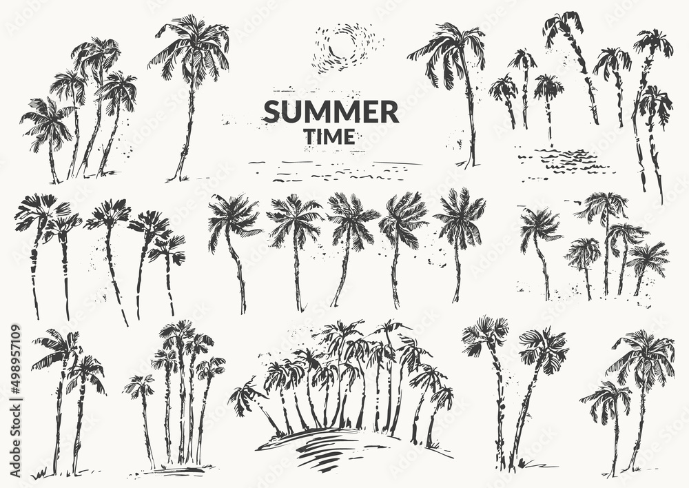 Hand drawn palm trees black ink sketch set