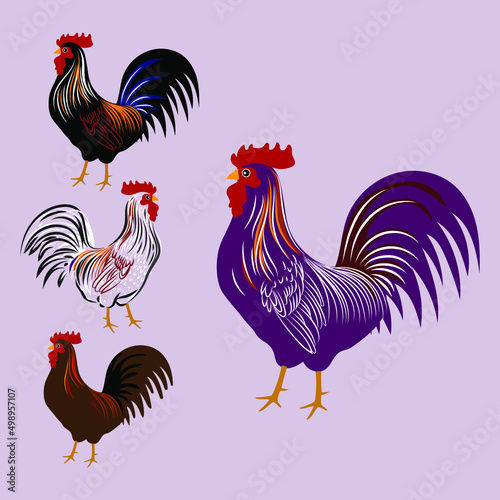Chicken set, hen, rooster character vector illustration.