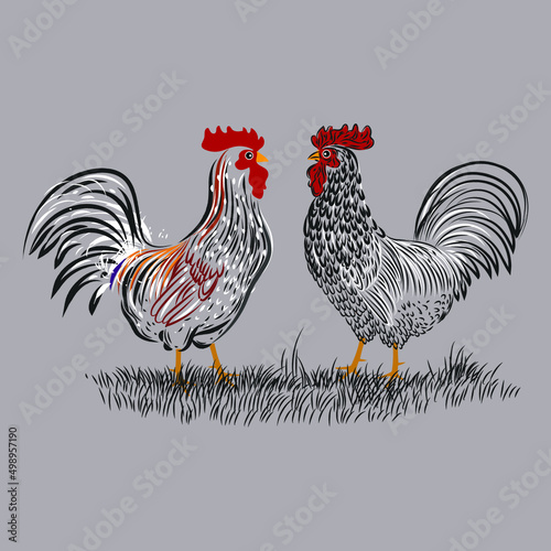 Chicken set, hen, rooster character vector illustration.