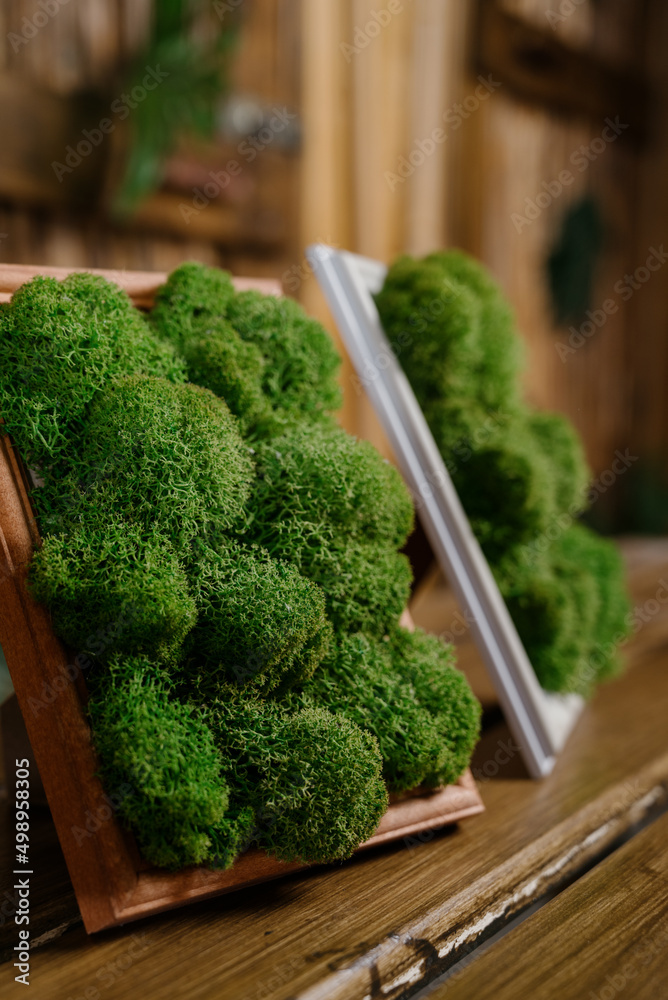 Stabilized moss.Green stabilized moss texture in wooden frame Stabilized moss.Green stabilized moss texture in wooden frame