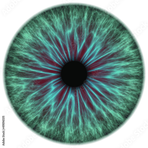 Illustration of a human iris. Digital artwork creative graphic design