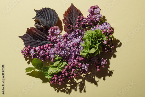 Fototapeta Naklejka Na Ścianę i Meble -  Purple lilac and hazel with green elm seeds. Minimalist spring flower arrangement.