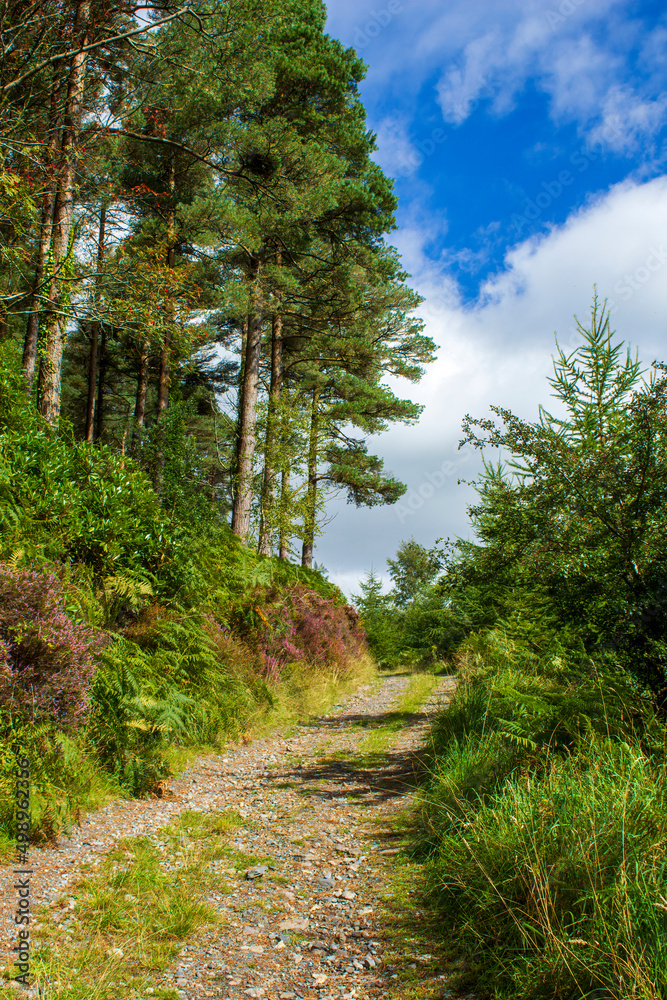 Leisure walk in summer time Leisure walk in summer time