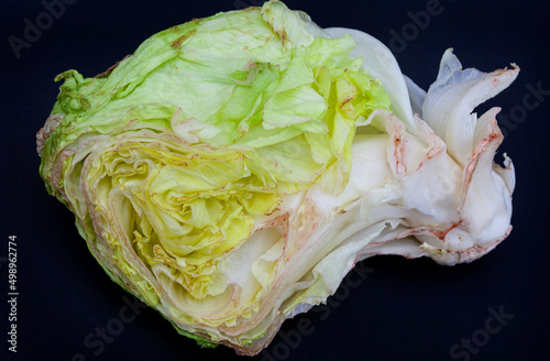Obraz na plátně damaged and rotting vegetables, lettuce head wilting with browning edges