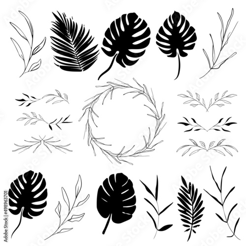 Hand drawn black plant set modern and universally usable. Flower branch and minimalistic plants. Hand drawn lines, elegant leaves for your own design. Botanical, chic and trendy plants. © beoyou
