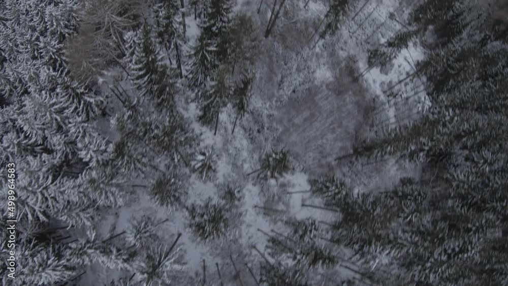 FPV Drone Clip From A Snow Covered Forest
