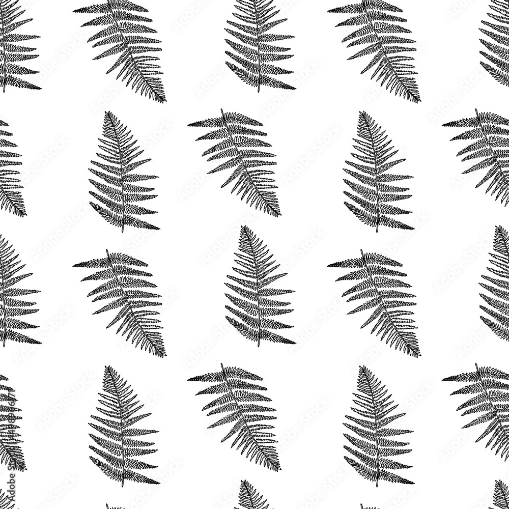 Vector pattern with ink fern Vector pattern with ink fern