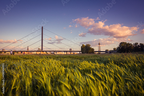 Düsseldorfer Skyline in Oberkassel photo