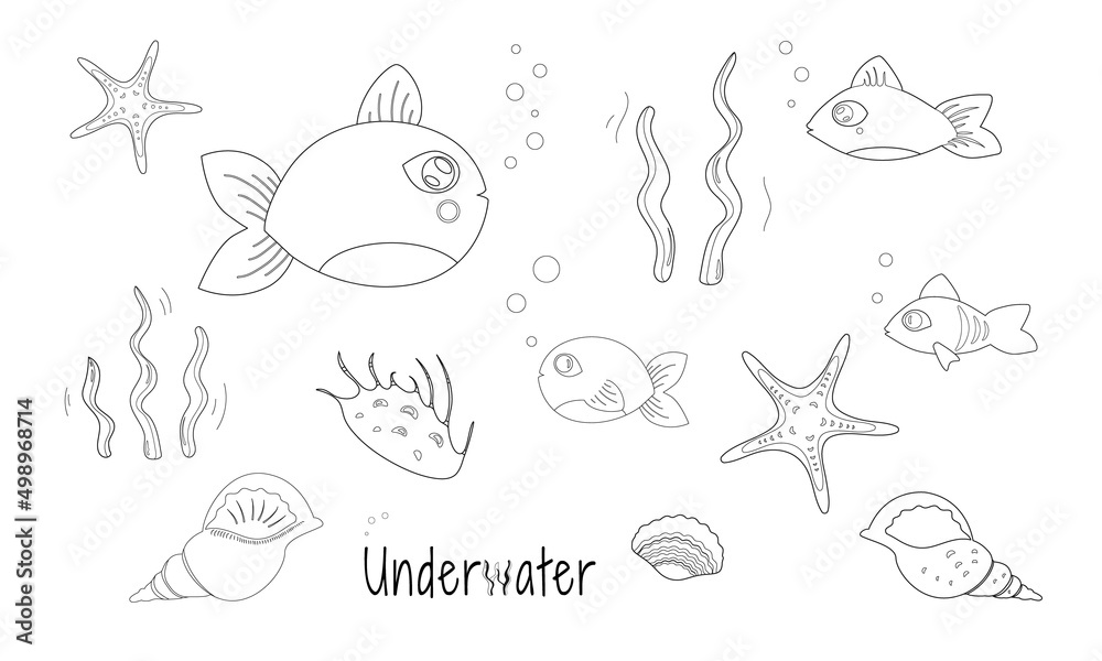 Aquatic coloring page with set of underwater plants, shells, and fish