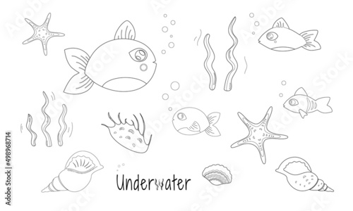 Aquatic coloring page with set of underwater plants  shells  and fish