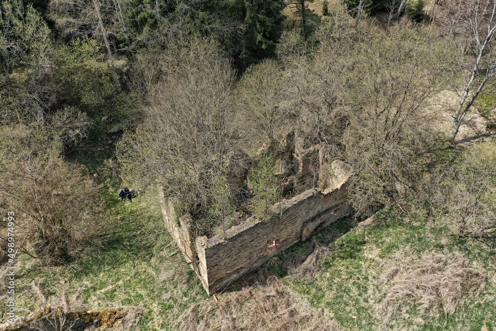 Ruins of old mill buiilding with trees growing from inside Ruins of old mill buiilding with trees growing from inside