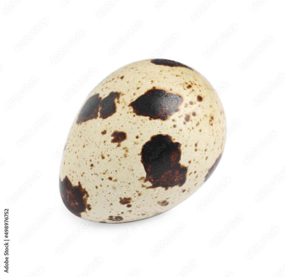 One beautiful quail egg isolated on white One beautiful quail egg isolated on white