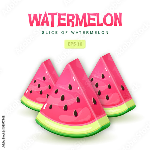 Set of watermelon slices isolated on white background. Vector watermelon illustration