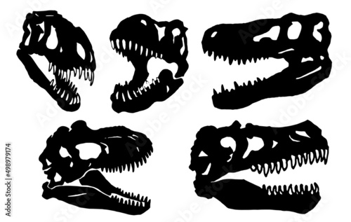 Graphical set of skulls silhouettes of dinosaur isolated on white background,vector elements