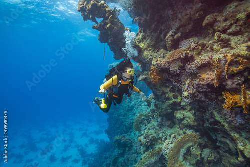 Exploration under water. A woman dives on a tropical reef with a blue background and beautiful corals. She illuminates the coral reef with a flashlight.