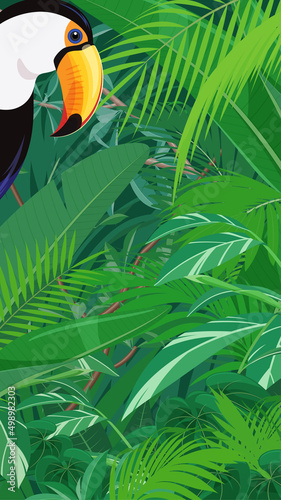 トロピカルな鳥と植物の風景_ジャングルの背景イラスト_16:9_縦