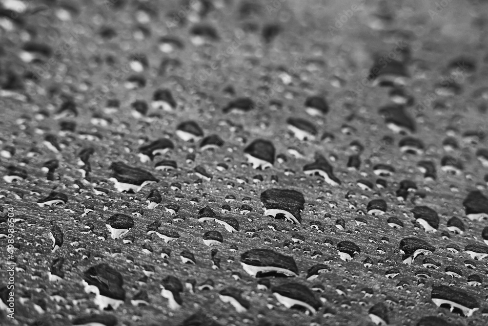 Water-drops on shiny surface closeup photo