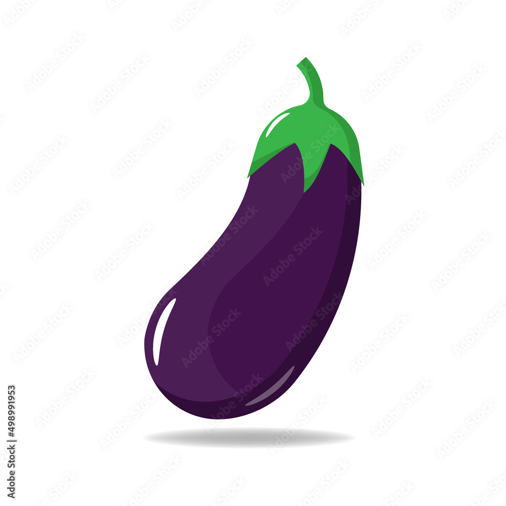 eggplant fresh vegetables isolated on white background, vector