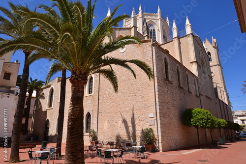 Palmen vor einer Kirche in benissa photo