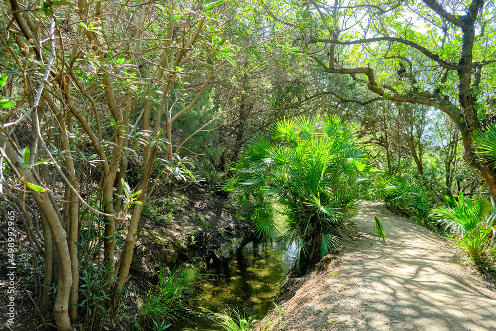 Fototapeta premium Path “Acequia del Guadalmina”. Benahavis, Costa del Sol, Andalusia, Spain.