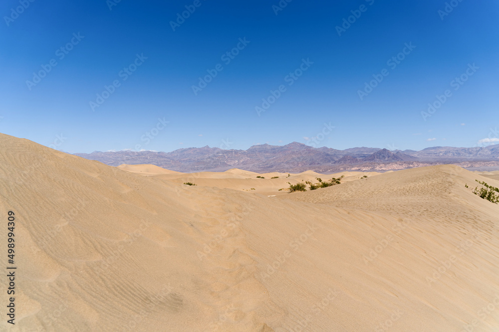Mesquite Flat Sand Dunes in Death Valley 