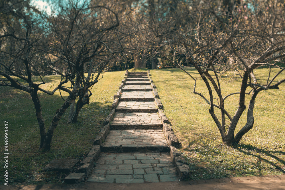 English Gardens of the Royal Palace of Caserta Italy English Gardens of the Royal Palace of Caserta Italy
