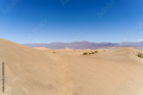 Mesquite Flat Sand Dunes in Death Valley  © valeragf