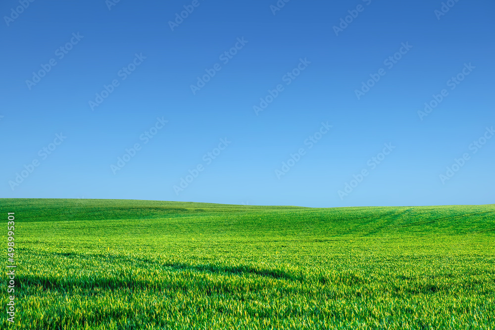 A large meadow in the background is the sky. nature background image concept