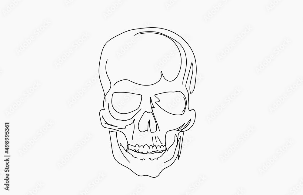 Skull icon hand drawn black line on the   white background