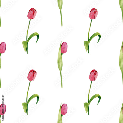 Watercolor pattern with tulip flowers. Seamless texture on a white background. #498995547