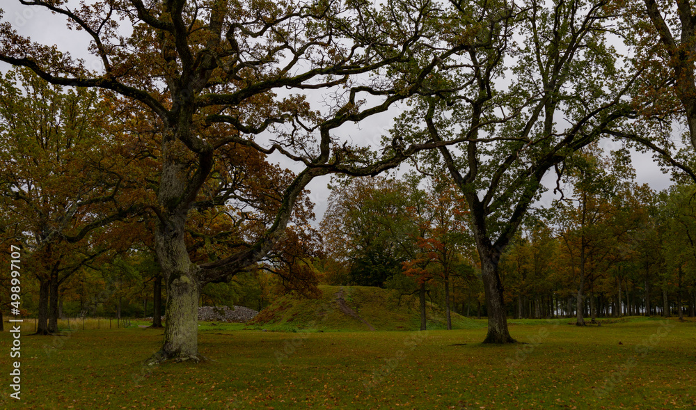 In Borre, which is located in Vestfold county (Norway), you can see 9 large and about 30 smaller burial mounds. The mounds are beautifully situated down towards the fjord in a park with large oak tree In Borre, which is located in Vestfold county (Norway), you can see 9 large and about 30 smaller burial mounds. The mounds are beautifully situated down towards the fjord in a park with large oak tree