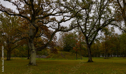 In Borre, which is located in Vestfold county (Norway), you can see 9 large and about 30 smaller burial mounds. The mounds are beautifully situated down towards the fjord in a park with large oak tree