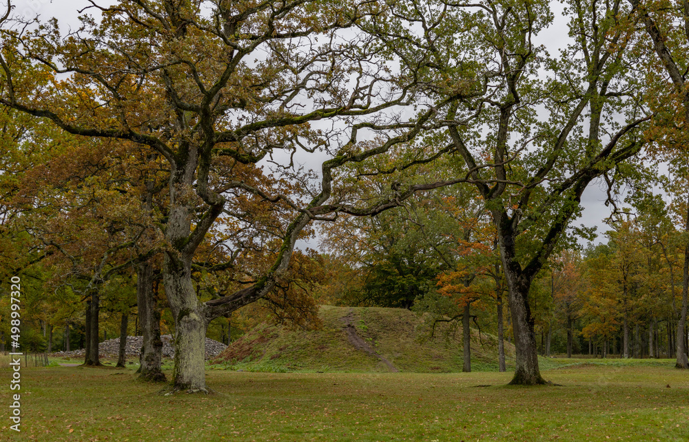 In Borre, which is located in Vestfold county (Norway), you can see 9 large and about 30 smaller burial mounds. The mounds are beautifully situated down towards the fjord in a park with large oak tree