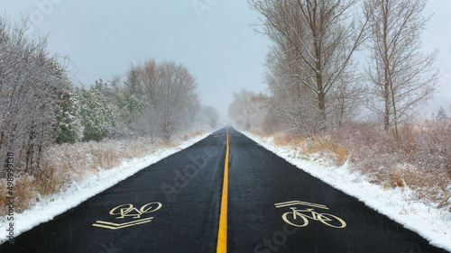 Road, with bike lane markings, through trees during a snow storm