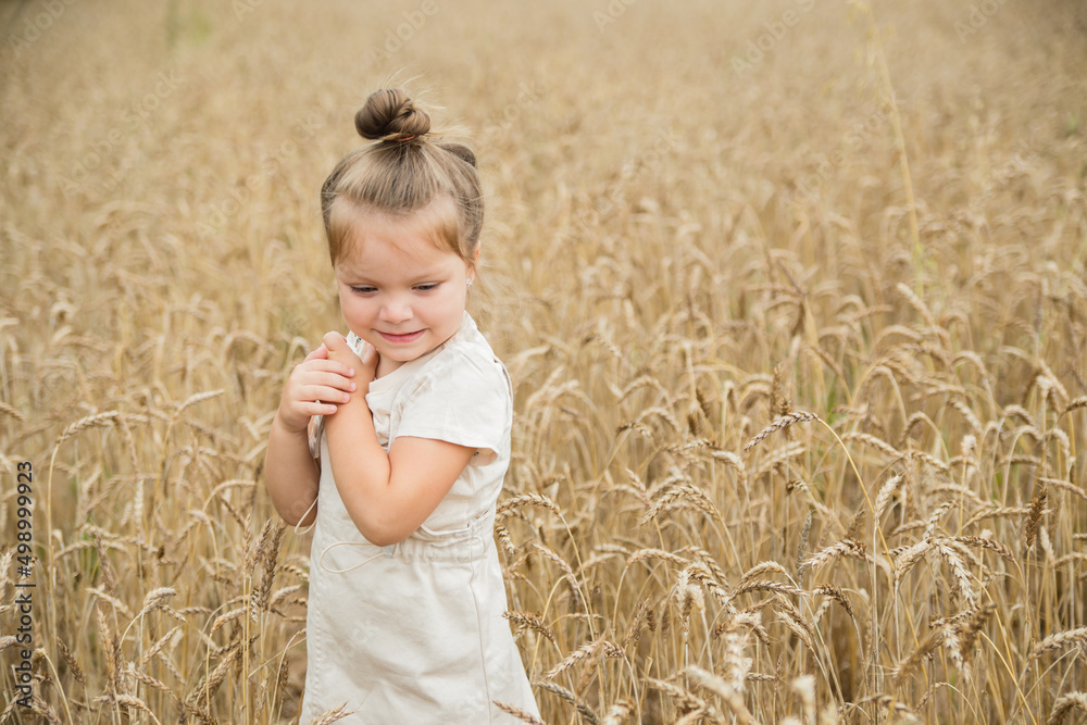 Portrait a little girl walks in a wheat field Portrait a little girl walks in a wheat field
