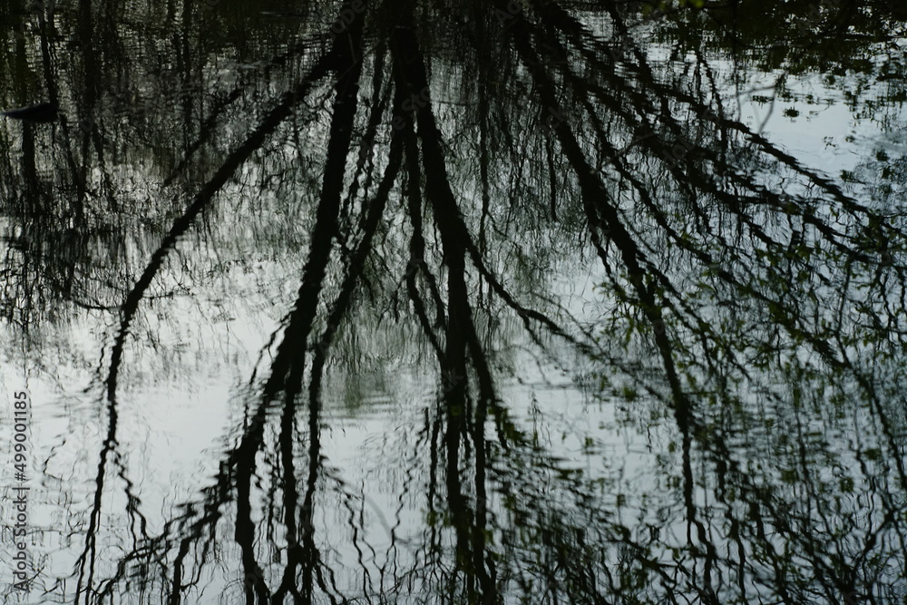 Wasser Oberfläche mit sich darin spiegelnden Bäumen, Fluss oder See Wasser Oberfläche mit sich darin spiegelnden Bäumen, Fluss oder See