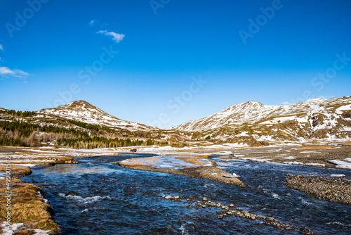 Winter day in the forestry area of Haukafell in Iceland photo