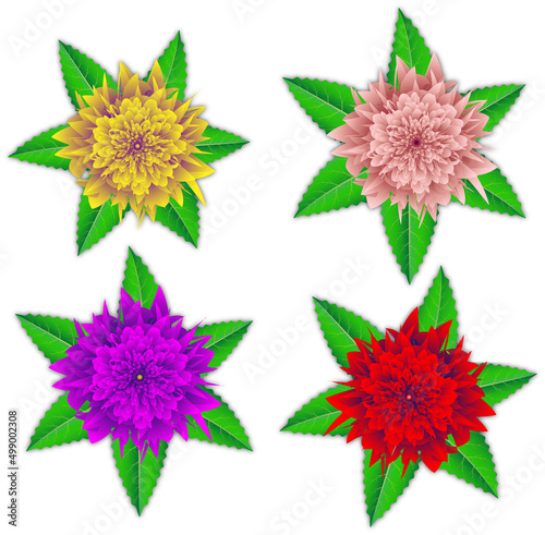 Set of realistic colorful flowers design vector on white color