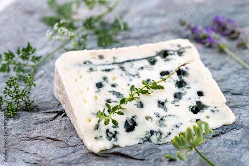 Photos Close-up of a Roquefort (French cheese) surrounded by aromatic plants