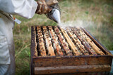 Smoke hive traps to limit bee aggression.