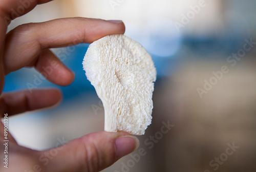 Tableau sur toile Viro-inactivated bone graft prepared in a tissue and cell biobank