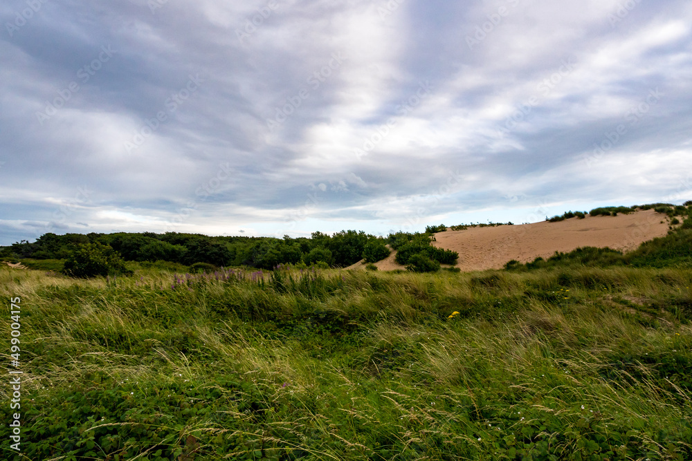 Grüne Dünenlandschaft an der englischen Küste Grüne Dünenlandschaft an der englischen Küste