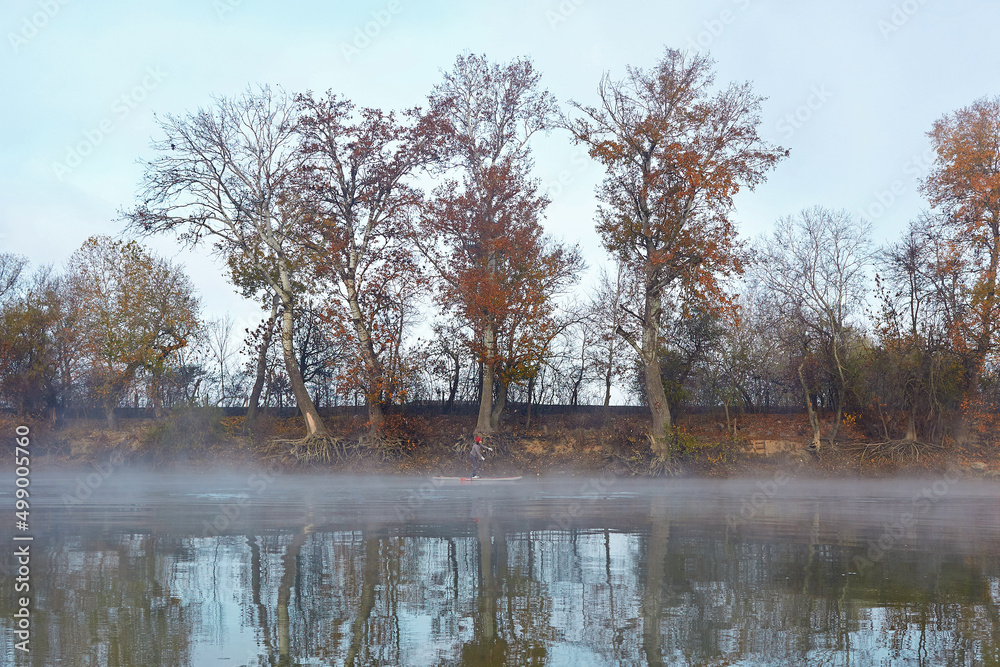 Landscape with woman rowing on stand up paddle boarding (SUP) at the morning on quiet misty autumn Danube river near yellow trees. Rural landscape in the autumn morning mist Landscape with woman rowing on stand up paddle boarding (SUP) at the morning on quiet misty autumn Danube river near yellow trees. Rural landscape in the autumn morning mist
