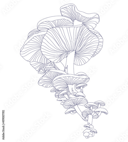 Mushroom print in vintage style.