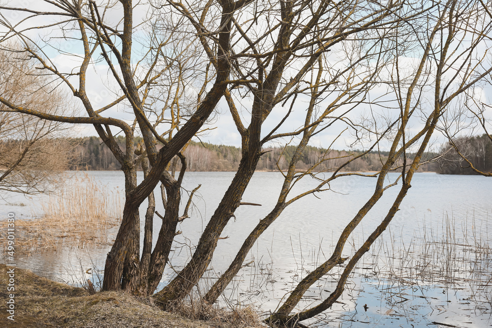Picturesque view of river or lake in spring. Blue water surface with small waves under blue sky