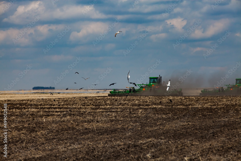 Fototapeta premium Spring sowing campaign. Tractors cultivating soil. Dust cloud and birds over the field. Blue sky, clouds