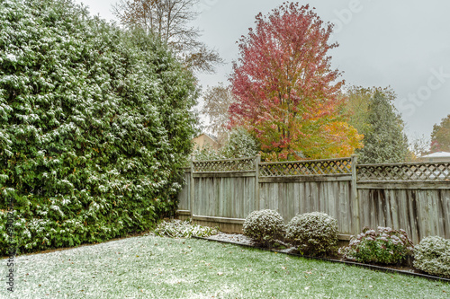 Fall snow in a backyard