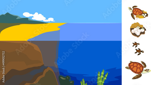 Educational game with Life cycle of sea turtle and split level seascape landscape