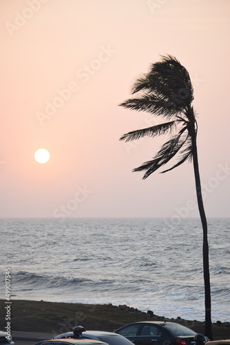 sunset on the beach