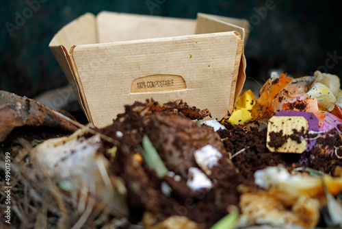 compostable and biodegradable Paper packaging photo